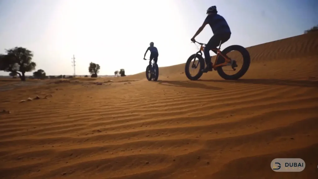 Fat biking across Mleiha dunes