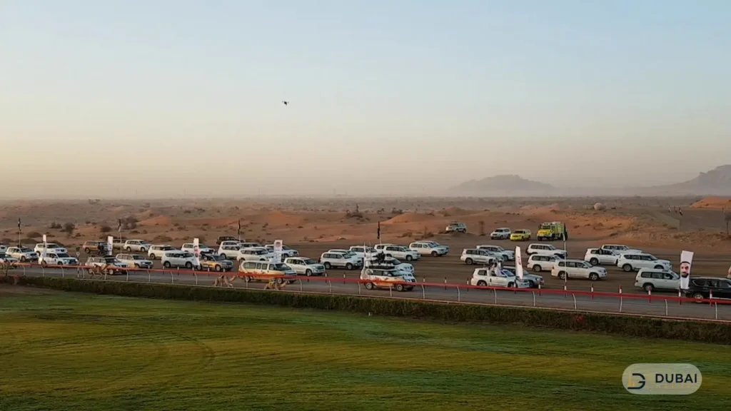 Camel racing track near Al Dhaid