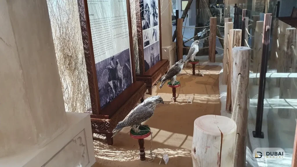 Falconry heritage display in Al Dhaid