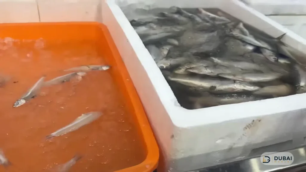 Fish display trays at a market stall