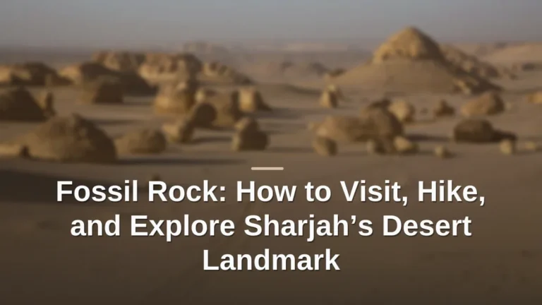 Fossil rock