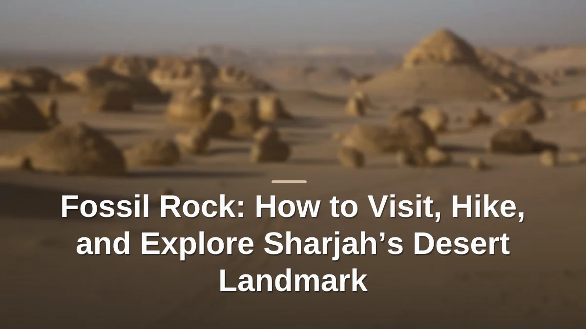 Fossil rock