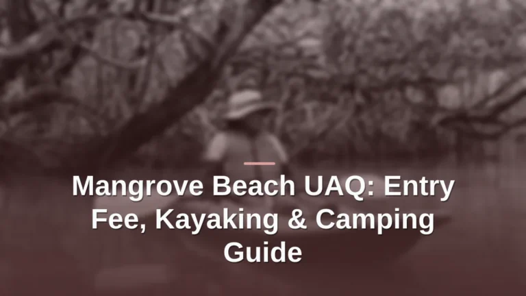 mangrove beach