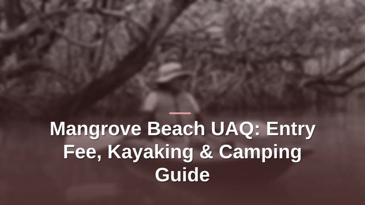 mangrove beach