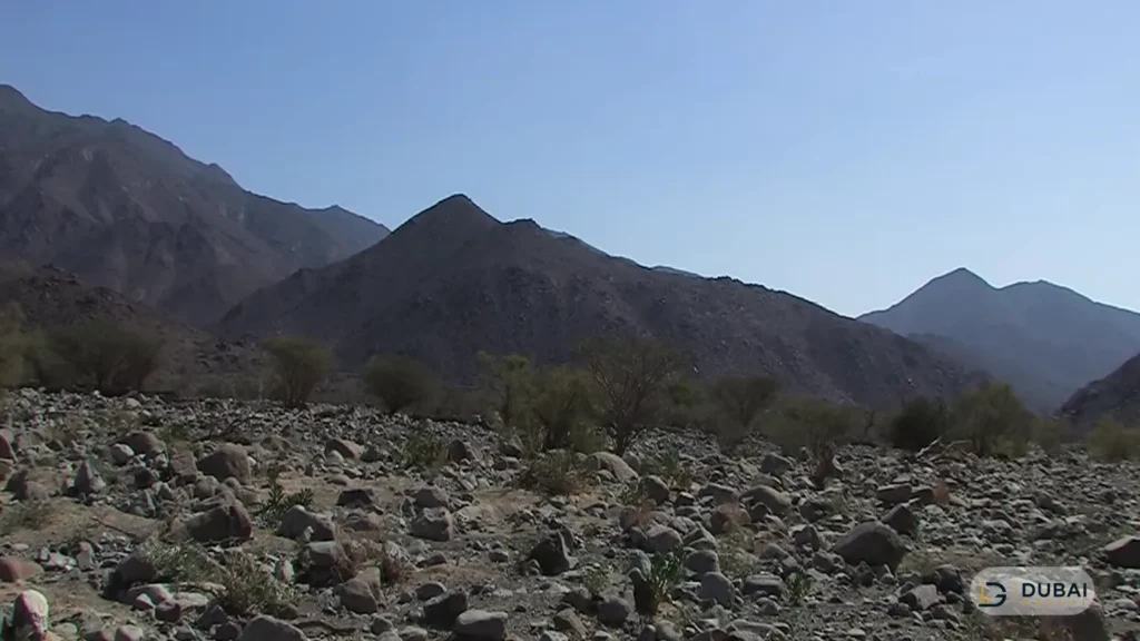 Rocky wadi bed at Wadi Al Helo with mountain peaks beyond