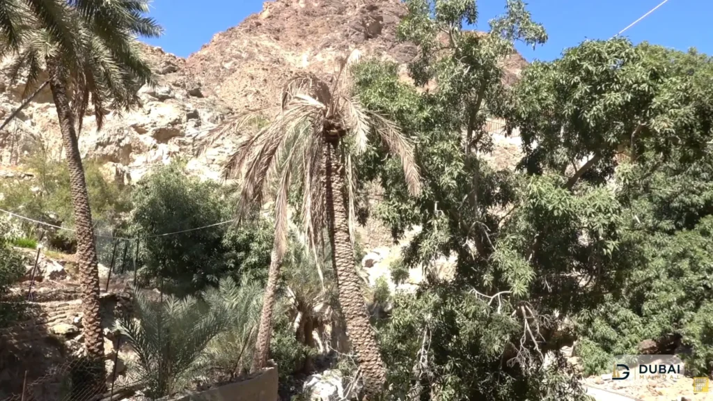 Rocky wadi trail through the Hajar Mountains near Shees