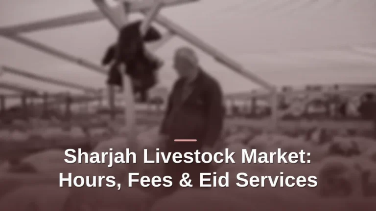 sharjah livestock market