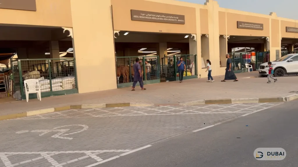 Sharjah livestock market building and animal pens
