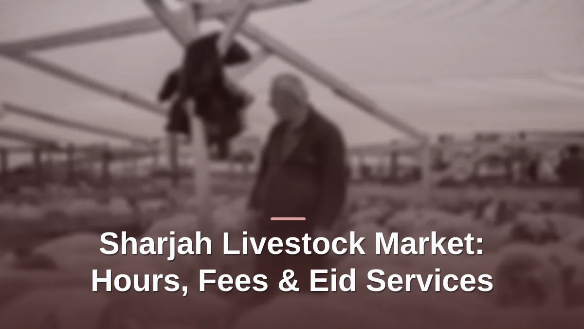 sharjah livestock market