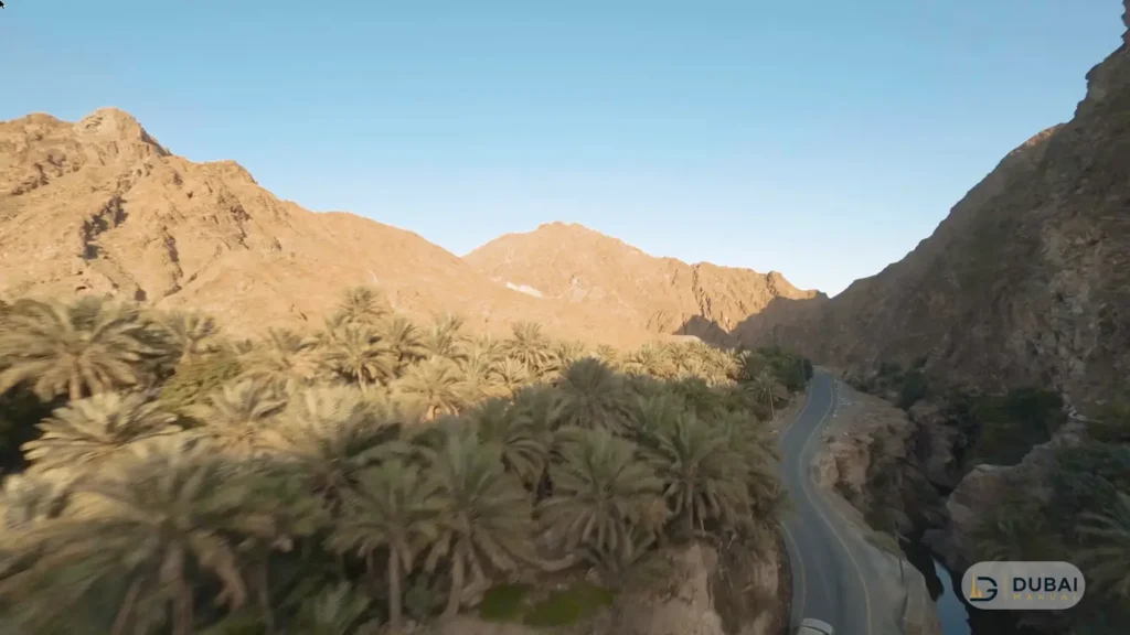 Wadi Shees palm groves and winding mountain road near Nahwa