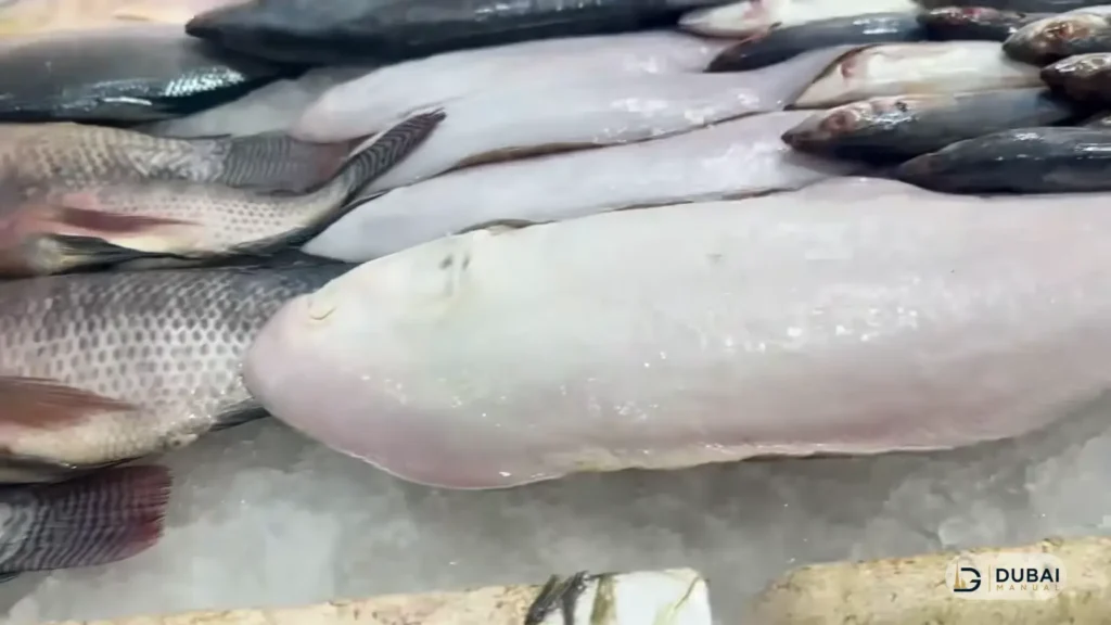 Whole fresh fish displayed on crushed ice